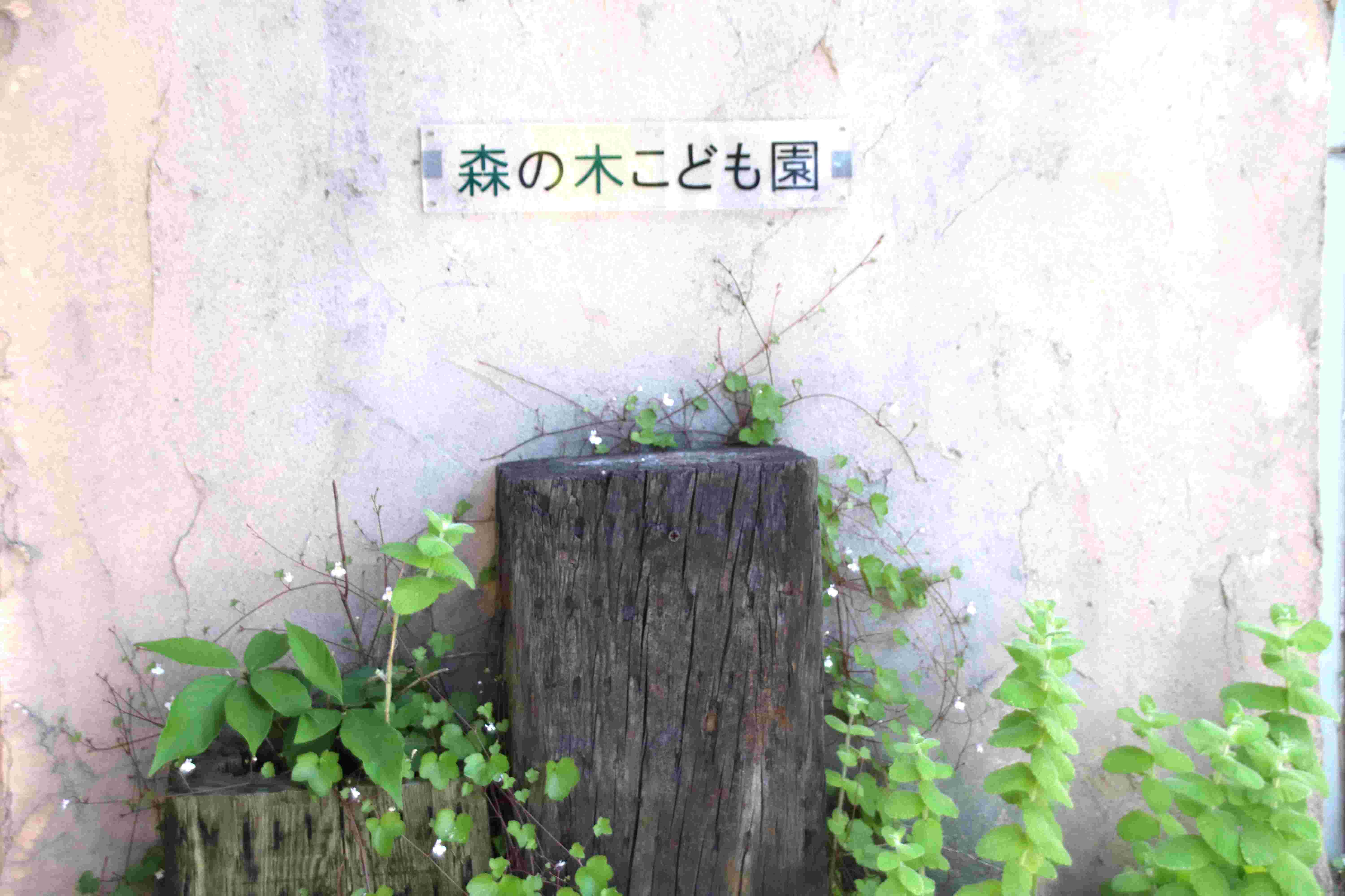 看板
